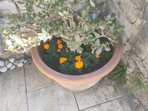Appartement Nice rue comte vert