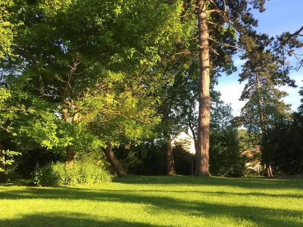 Terrain 499 m²