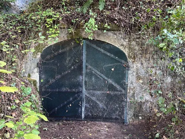 Cave pour stockage