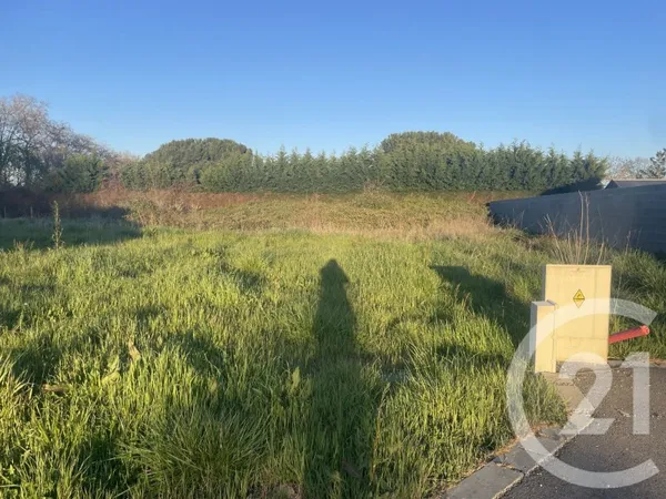 Terrain 1274 m²