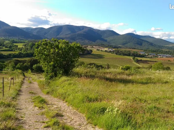 Terrain parcelles agricoles + de 2 hectares