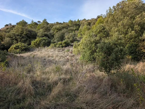 Terrain à bâtir Vente Rieux-en-Val  2300m² 75000€