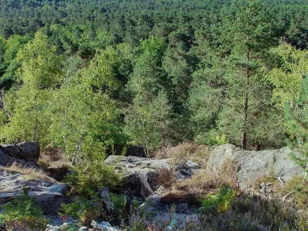 Terrain 17 m² Buno-Bonnevaux