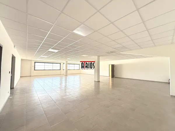 Local professionnel 470 m²