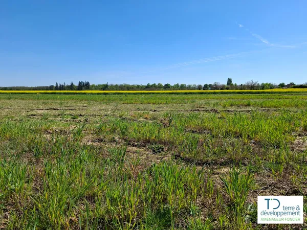 Terrain en individuel 365 m²