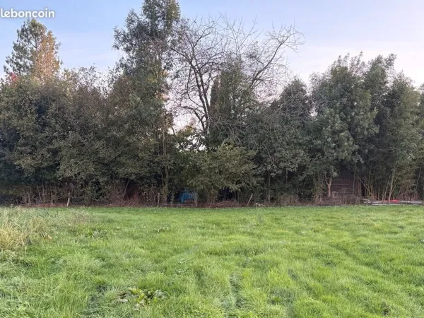 Terrain 1 188 m² Paray Le Monial