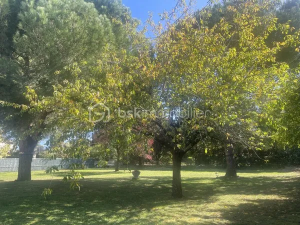 Terrain 991 m²