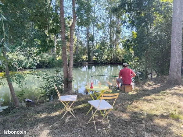 Terrain pêche - Bord de la Dive de Couhé 🎣
