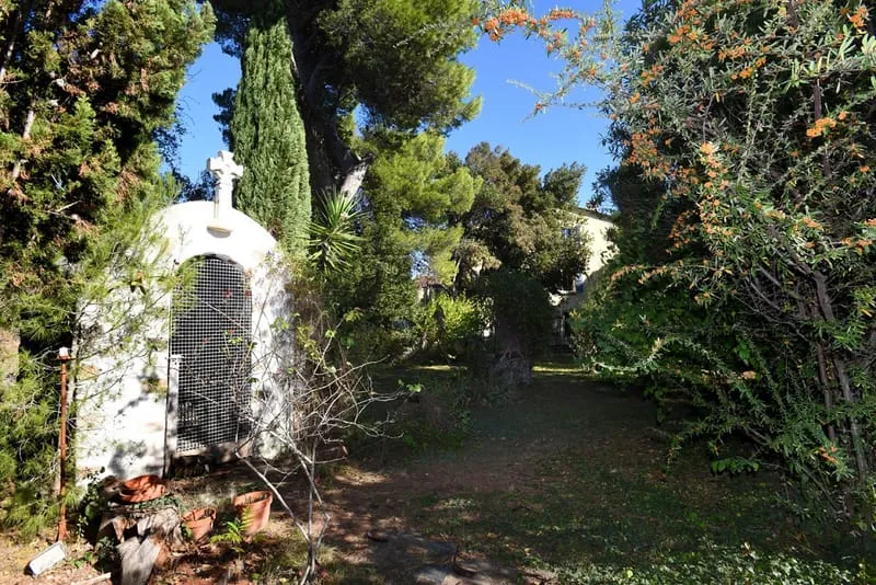 Photo 21
