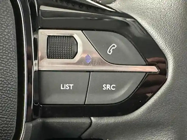 Peugeot 208 1.5 bluehdi 100ch s&amp;s active — photo 15