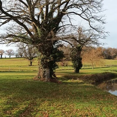 Domaine a vendre a quinssaines