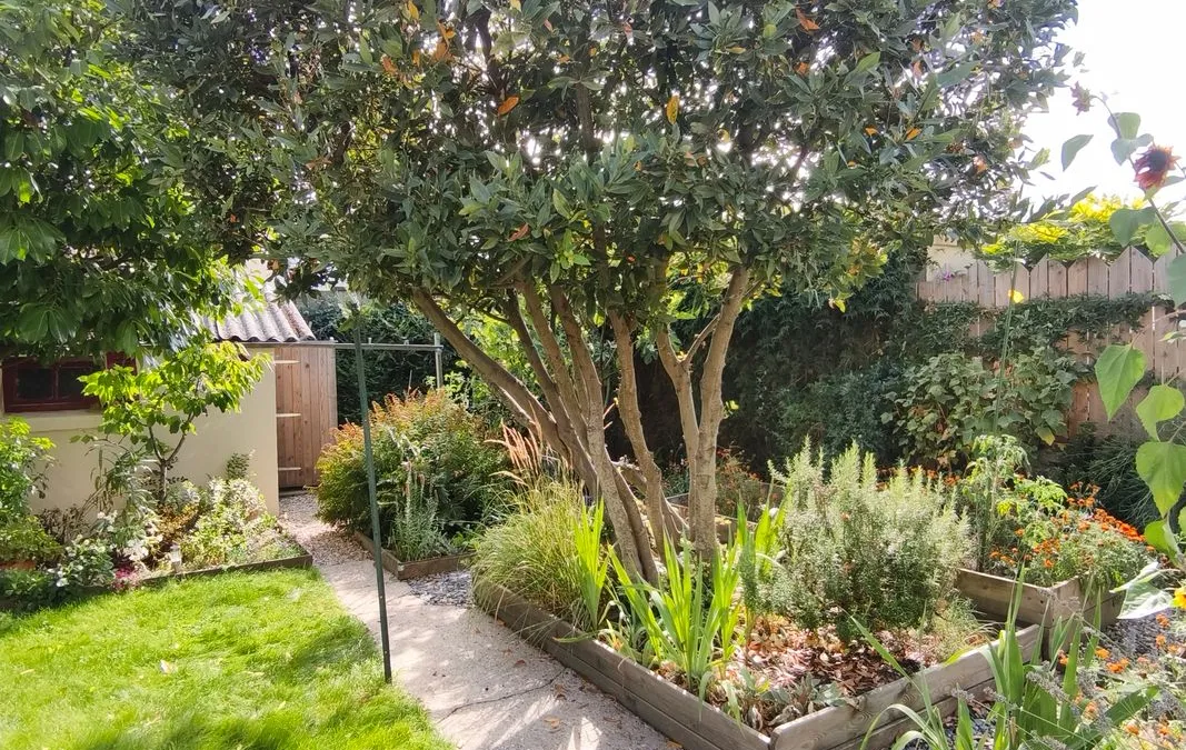 Photo 3