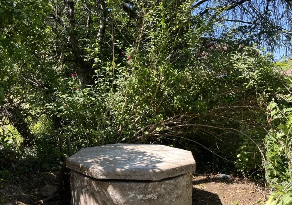 Photo 42