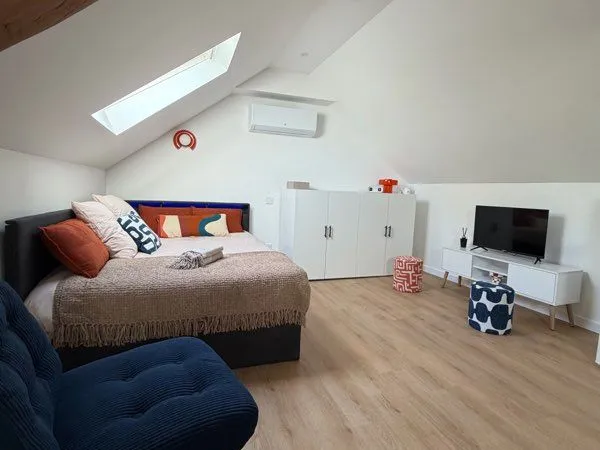 À LOUER - Studio style loft de 33 m² rénové+parking - Nancy