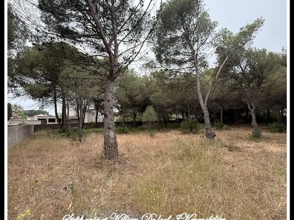 Terrain 1 250 m² Le Grau D Agde