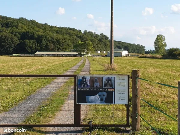 Cède élevage canin cheptel lof, maison, prévu pour chevaux sur 2ha