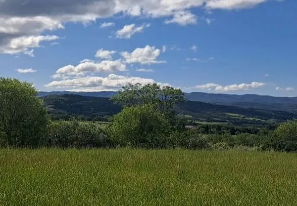 Terrain 391 m²