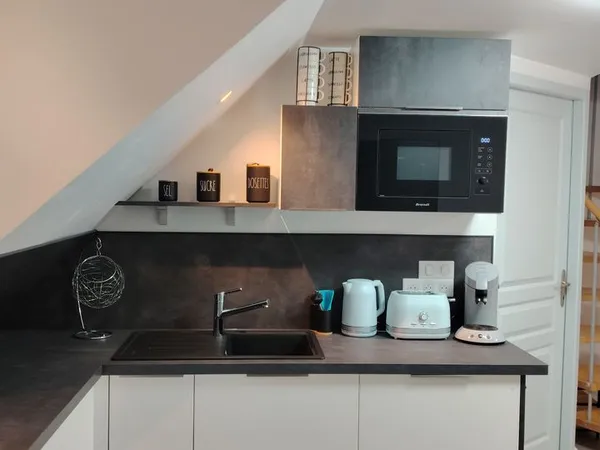 Studio DUPLEX Meublé NEUF (33m2) Dole Centre 650 CC