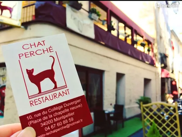Restaurant incontournable avec rooftop - Hyper centre Montpellier
