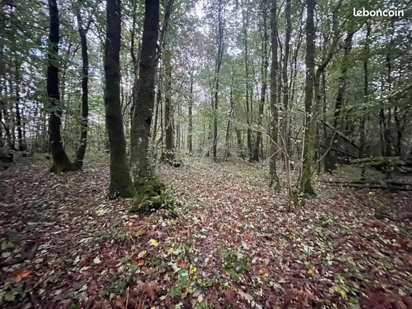Terrain 17530 m² Marcillé-la-Ville