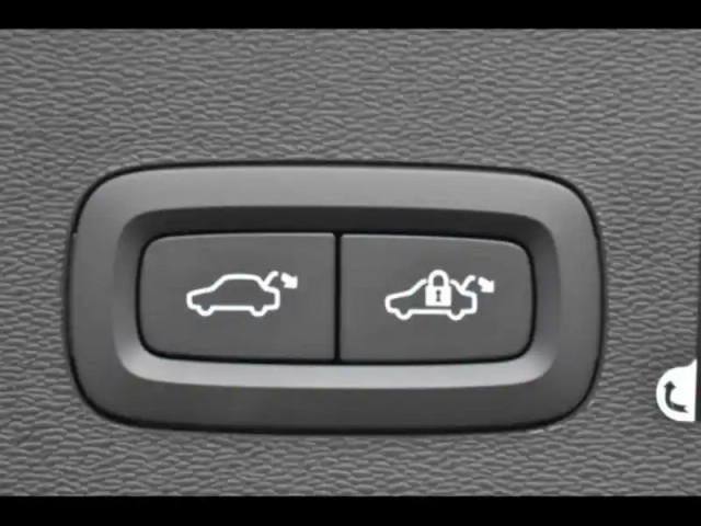 Volvo C40 e single extended range 252ch plus — photo 24