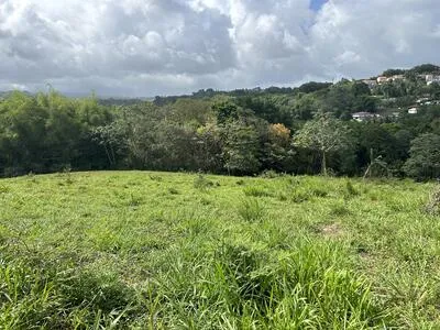 LE LAMENTIN - Terrain de 7300 m2 - 550 000 euros