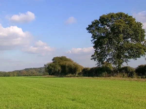 Terrain 301 m²