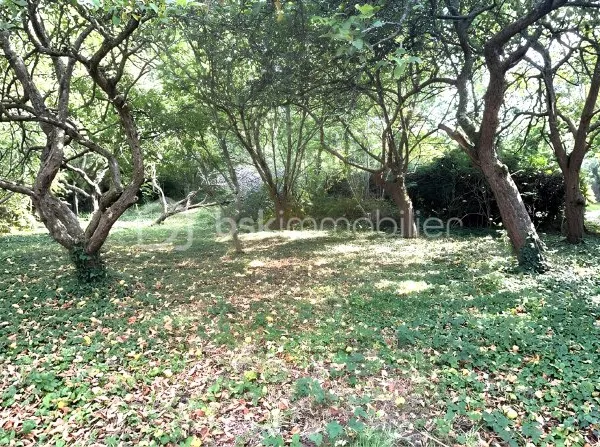 Terrain 651 m²