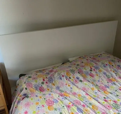 Grande chambre en colocation