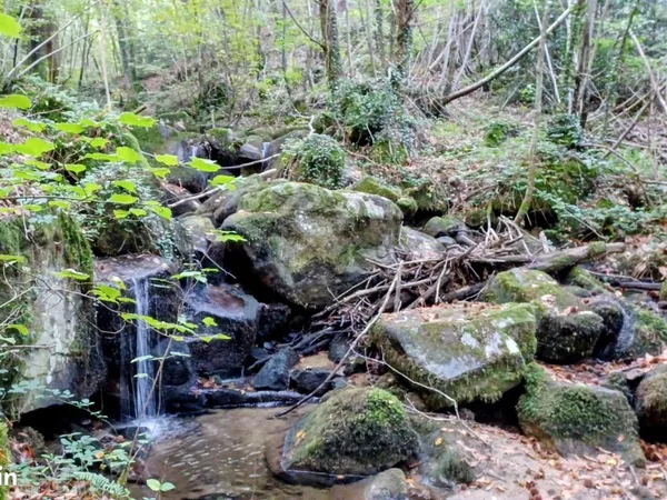 Vend terrain de loisirs