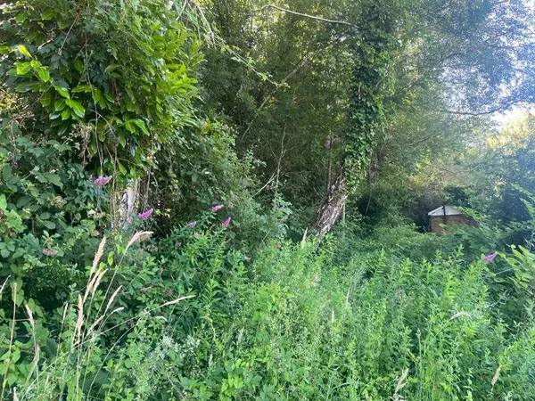 Terrain 5433 m²