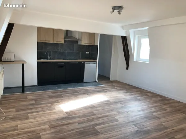 Particulier loue T2 42M2 Centre ville