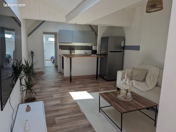 2 pièces, 42 m2 au sol, 38 m2 loi carez
