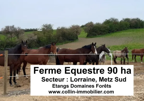 Terrain 800000 m²
