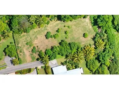 Très beau terrain constructible ? Secteur résidentiel recherché ? Le Lamentin