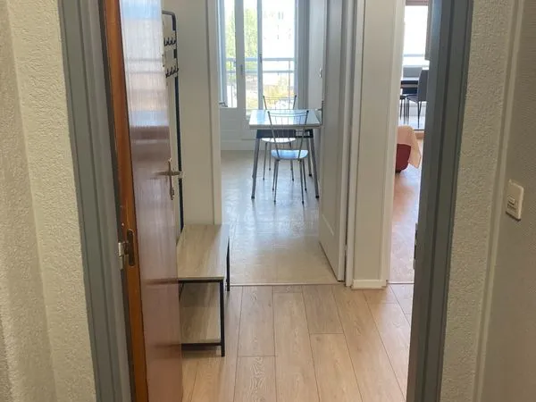 Appartement T1bis rénové et meublé de 56,59 m² avec balcon, cave et parking privé - Chalon-sur-Saône