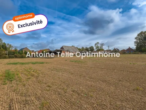 Terrain 11196 m²