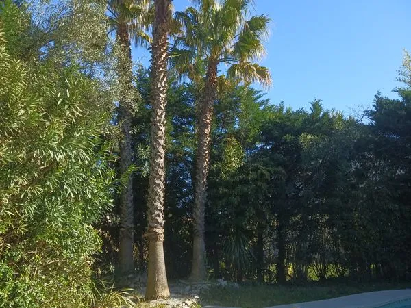 Villa T5 meublée à louer