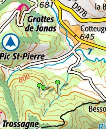 6400m2 Bois Taillis NC saint diery 63320 3 parcelles discontigues