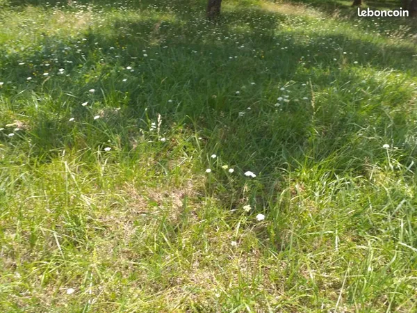 Terrain 326 m² Targon