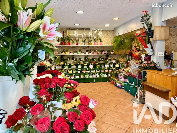 Cadeaux 90 m² Sannois