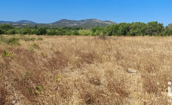 Terrain 595 m²