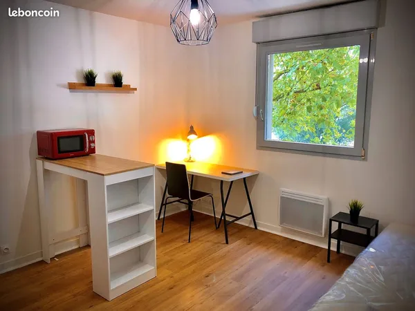 Studio meublé rénové avec vue sur Loire - 500 m du CHU