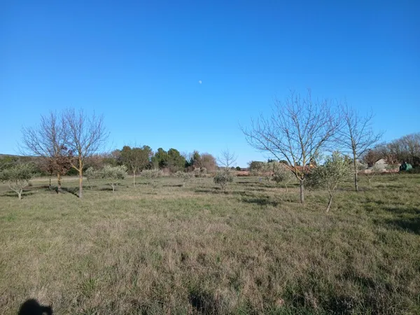 Terrain 442 m²