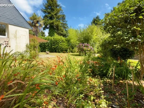 Rare Maison + hangar sur 2000m2 terrain