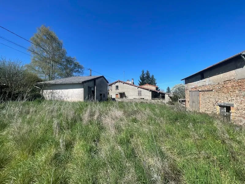 Photo 19