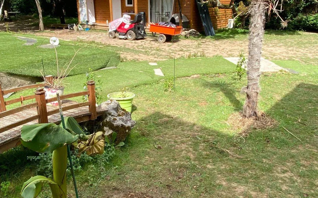 Photo 5