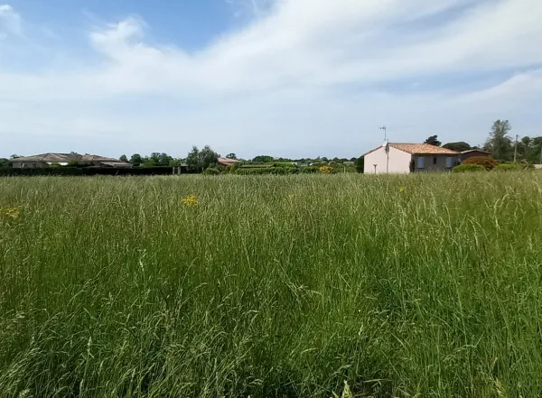 Terrain 4256 m²