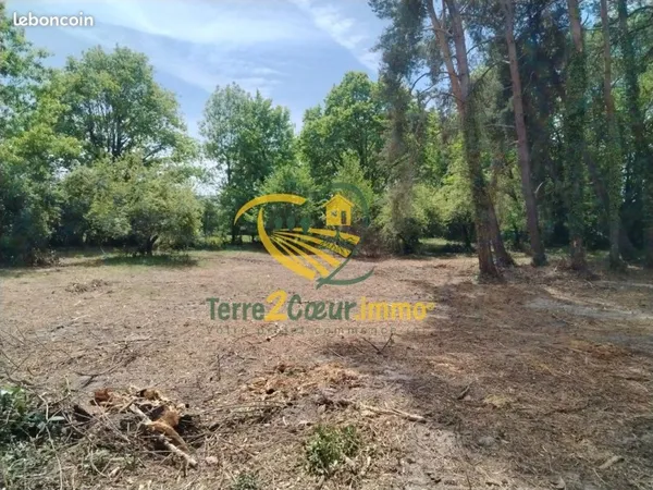 Terrain 2319 m² Allogny