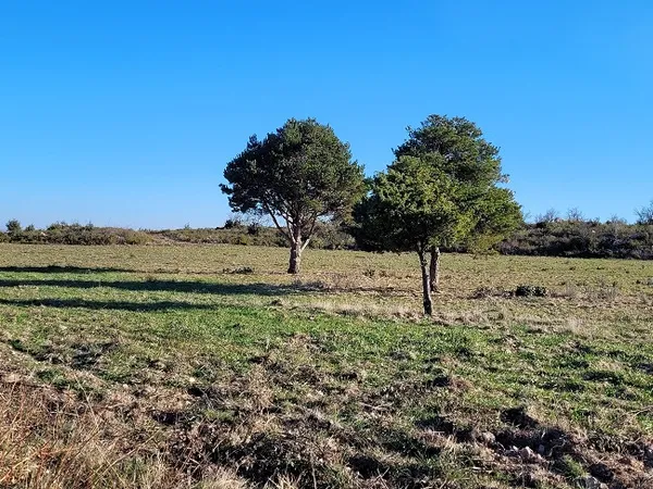 Terrain 359 m²